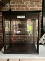 Oude Apothekersvitrinekast - Hout & Glas, Ophalen, Gebruikt, 50 tot 100 cm, Nvt