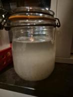 Waterkefir, Diversen, Ophalen of Verzenden