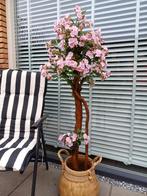 Mooie bloesemboom voor binnen en buiten, Ophalen of Verzenden, Nieuw, Binnen