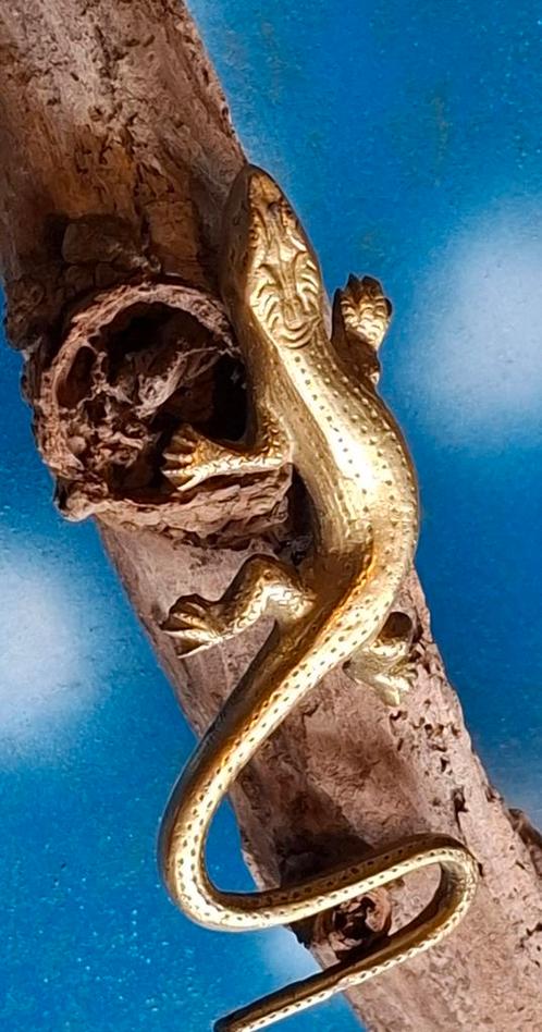 Hagedis.  Messing 14 cm., Verzamelen, Dierenverzamelingen, Zo goed als nieuw, Beeldje of Figuurtje, Reptiel of Amfibie, Ophalen