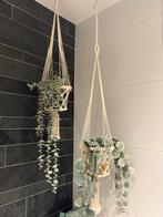 Macramé plantenhangers met planten, Huis en Inrichting, Woonaccessoires | Kisten, Overige materialen, Minder dan 50 cm, Ophalen of Verzenden