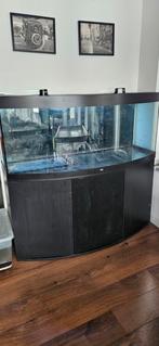 JUWEL VISION, Dieren en Toebehoren, Vissen | Aquaria en Toebehoren, Ophalen, Gebruikt, Leeg aquarium