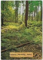 Rekken Camping Den Borg gelopen Ansichtkaart ( B2616 ), Verzenden, 1980 tot heden, Gelopen