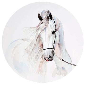 Behangcirkel Paard Muurcirkel Muursticker * Muurdeco4kids beschikbaar voor biedingen