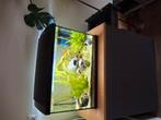 Aquarium van 70 liter plus vissen en toebehoren, Dieren en Toebehoren, Ophalen, Zo goed als nieuw, Gevuld zoetwateraquarium
