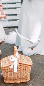 witte duiven, Dieren en Toebehoren, Vogels | Duiven, Meerdere dieren, Postduif