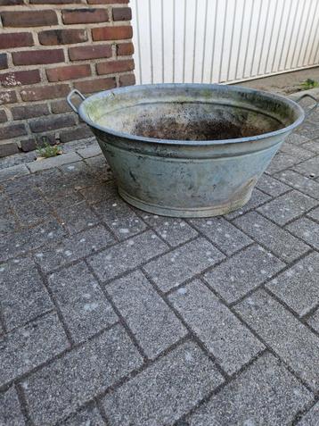 Zinken teil  beschikbaar voor biedingen