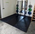 PT Essentials ECHO V2 CROSSFIT   Bumperplate Haltersets, Ophalen, Zo goed als nieuw, Metaal, Overige typen