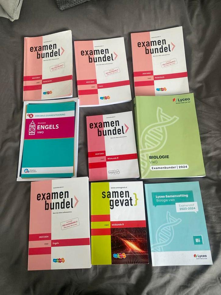 VWO Examenbundels en Samenvattingen, Boeken, Studieboeken en Cursussen, Zo goed als nieuw, WO, Ophalen of Verzenden