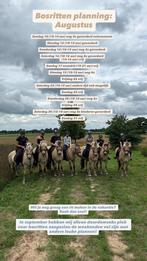 Bosritten montferlandbos