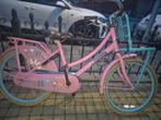Leuke Popal fiets met gebruikerssporen, Ophalen of Verzenden, Gebruikt, Popal