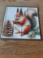 Dieptekaart-Eekhoorn(200), Ophalen of Verzenden, Nieuw, Overige thema's