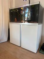 Eheim proxima plus 250, Ophalen, Zo goed als nieuw, Leeg aquarium