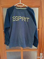Esprit Trui Maat M - Blauw, Maat 38/40 (M), Blauw, Ophalen of Verzenden, Gedragen