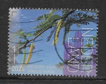 2024, Flora Bonaire, Prosopis Juliflora [....] (K0617) beschikbaar voor biedingen
