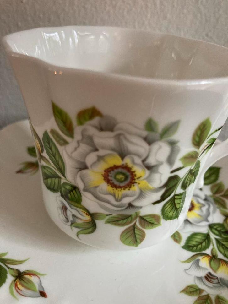 The White Rose of York Kop en Schotel, bone china, Antiek en Kunst, Antiek | Servies los, Ophalen of Verzenden
