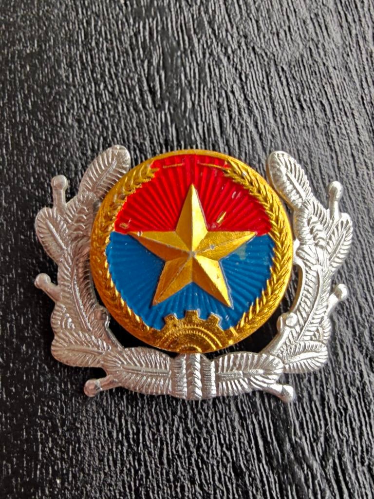 Noord Vietnamese Helm embleem..NVA Vietcong, Ophalen of Verzenden, Landmacht, Nederland, Embleem of Badge
