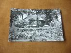 DOORN  >  THEESCHENKERIJ CHALET ST. HELENAHEUVEL, Verzenden, 1940 tot 1960, Gelopen, Utrecht