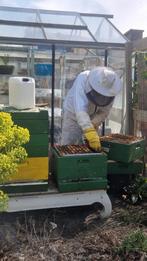 Bijen stalling gezocht, Dieren en Toebehoren