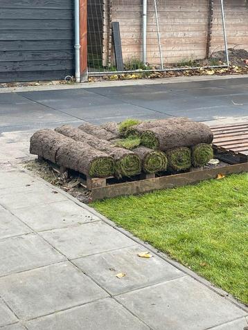 12 m2 gras mat rol gratis beschikbaar voor biedingen