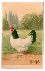 Lakenvelder hen illustrator CS Th van Gink, Verzamelen, Ansichtkaarten | Themakaarten, Ophalen, Ongelopen, Overige thema's