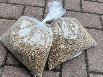 Maria distel zaad 2kg beschikbaar voor biedingen