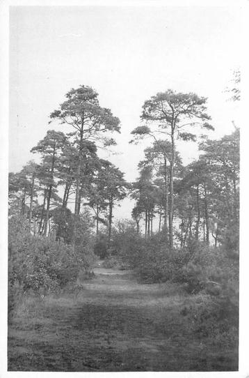 (388-367-037) Driebergen-Rijsenburg Driebergsebos beschikbaar voor biedingen