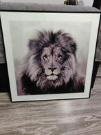 Leeuw schilderij, Huis en Inrichting, Woonaccessoires | Schilderijen, Tekeningen en Foto's, Ophalen, Minder dan 50 cm, Zo goed als nieuw