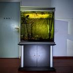Uniek aquarium - ca .. L, incl kast, filter & achterwand, Ophalen, Zo goed als nieuw, Leeg aquarium