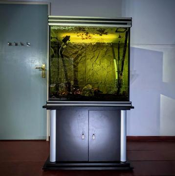 Uniek aquarium - ca .. L, incl kast, filter & achterwand beschikbaar voor biedingen