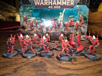 Warhammer 40k Aeldari Guardians (Eldar) beschikbaar voor biedingen
