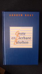 Andrew Gray - Grote en dierbare beloften, Boeken, Ophalen of Verzenden, Zo goed als nieuw, Amy Gray