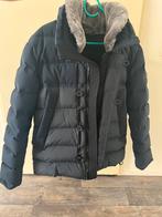 Peuterey Winterjas Maat XL Te Koop Origineel!, Kleding | Heren, Jassen | Winter, Blauw, Ophalen of Verzenden, Maat 56/58 (XL)