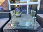 Aquarium cocoon 6, Dieren en Toebehoren, Vis