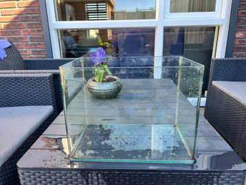 Aquarium cocoon 6 beschikbaar voor biedingen