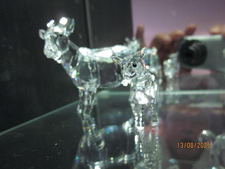Swarovski Geit met jonge incl. dozen en certificaten, Verzamelen, Swarovski, Nieuw, Figuurtje, Ophalen of Verzenden