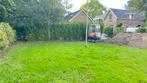 Coniferen Thuja Brabant 250-300cm hoog, Ophalen, Bloeit niet, Halfschaduw, Overige soorten