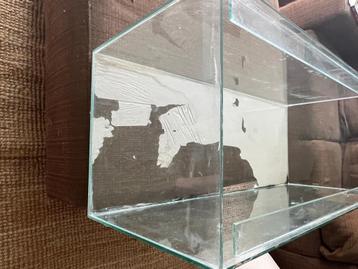 aquarium beschikbaar voor biedingen