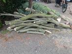 Esdoorn hout, Tuin en Terras, Haardhout, Minder dan 3 m³, Ophalen, Overige houtsoorten