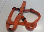 Oranje hondentuig - 42 cm, Ophalen, Gebruikt