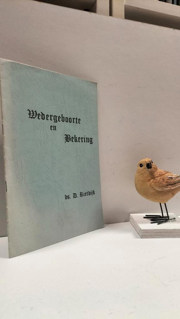 Rietdijk, ds. D.; Wedergeboorte en bekering, Boeken, Godsdienst en Theologie, Gelezen, Christendom | Protestants, Ophalen of Verzenden