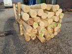 Spintvrij geschuurde robinia, duikelpalen 3 mtr 10/12 dik, Ophalen, Nieuw, 250 cm of meer, Palen