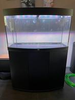 Juwel Vision 180 met veel toebehoren, Ophalen, Gebruikt, Leeg aquarium