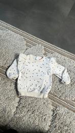 Hema sweater velvet blaadjes maat 74, Kinderen en Baby's, Babykleding | Maat 74, Ophalen of Verzenden, Zo goed als nieuw, Meisje