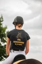 Paarden gezocht – jong, onbeleerd of een tikkeltje eigenwijs, Dieren en Toebehoren, Ophalen of Verzenden, Nieuw