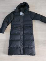 Frilivin lange puffer jas zwart maat M, Nieuw, Maat 48/50 (M), Ophalen of Verzenden, Zwart