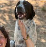 Chrisje zoekt een gouden mand, Particulier, 15 weken tot 1 jaar, Reu, Buitenland