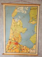 schoolplaat wandkaart, Antiek en Kunst, Ophalen, Natuur en Biologie
