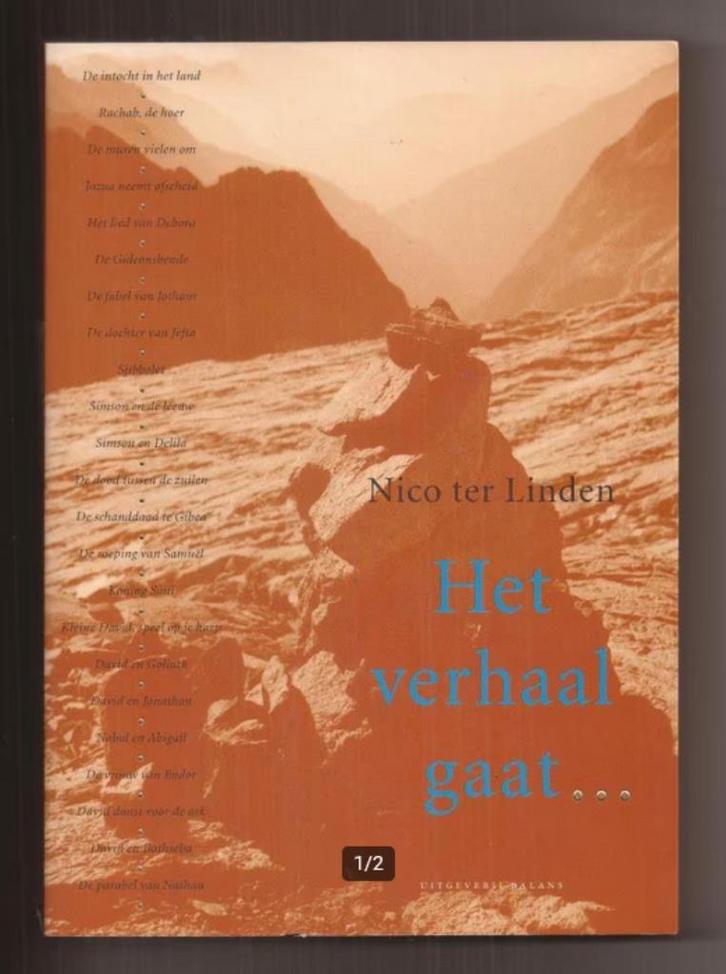 Nico ter Linden - Het verhaal gaat deel 3, Boeken, Godsdienst en Theologie, Nieuw, Christendom | Katholiek, Christendom | Protestants
