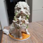 Hoeren hondje, Ophalen of Verzenden